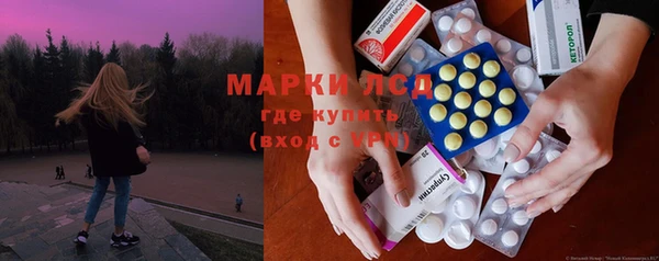 сатива Абинск