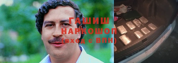 гидра Абаза