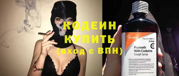 гидра Абаза