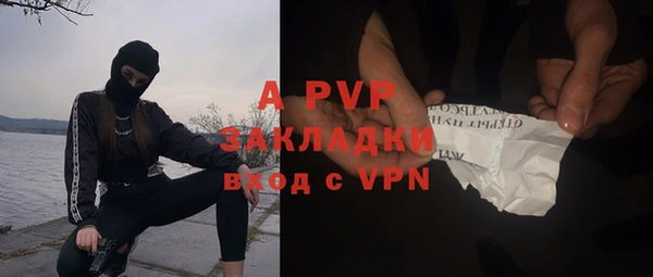 гидра Абаза