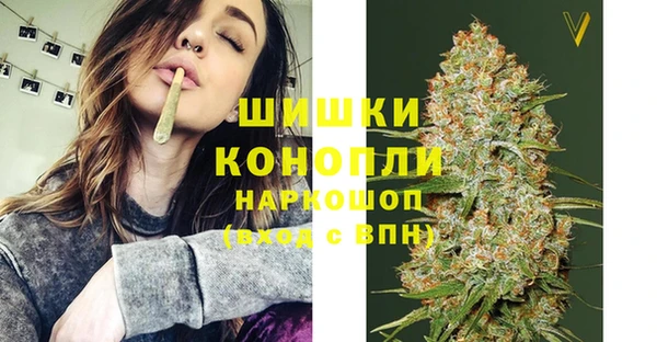 сатива Абинск