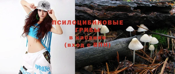 сатива Абинск