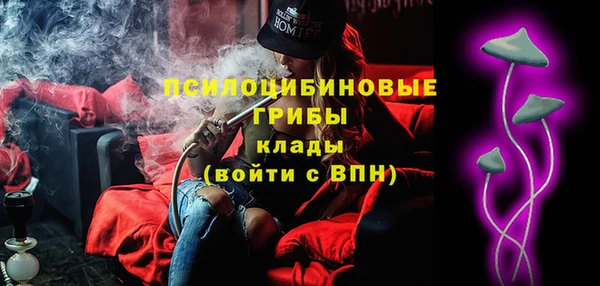 гидра Абаза