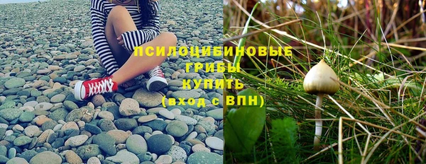 сатива Абинск