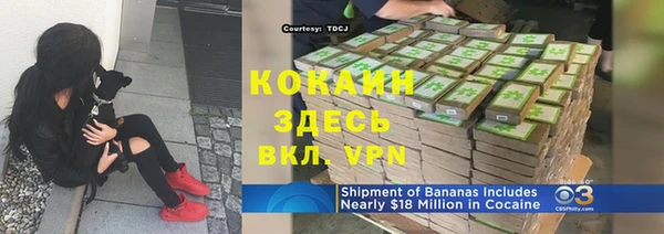 сатива Абинск